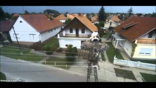 preview picture of video 'Kiskőrös, Hungary, 10 08 2014, 10 19  Młody nie potrafi wylądować'