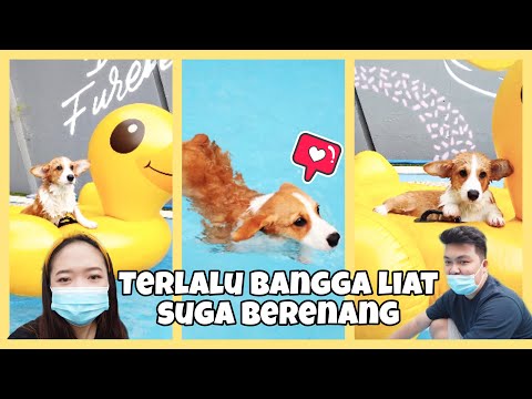 minta-buatin-kolam-berenang-di-rumah-bangpen-buat-suga-berenang-marsella-vania