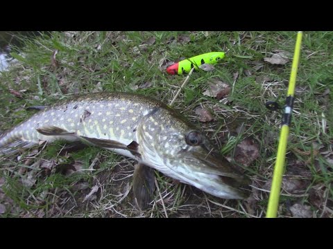 Hauen kalastusta illalla. + Kauden avaus!