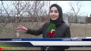 Семья из Толстой-юрта поделилась секретом счастливой семейной жизни  