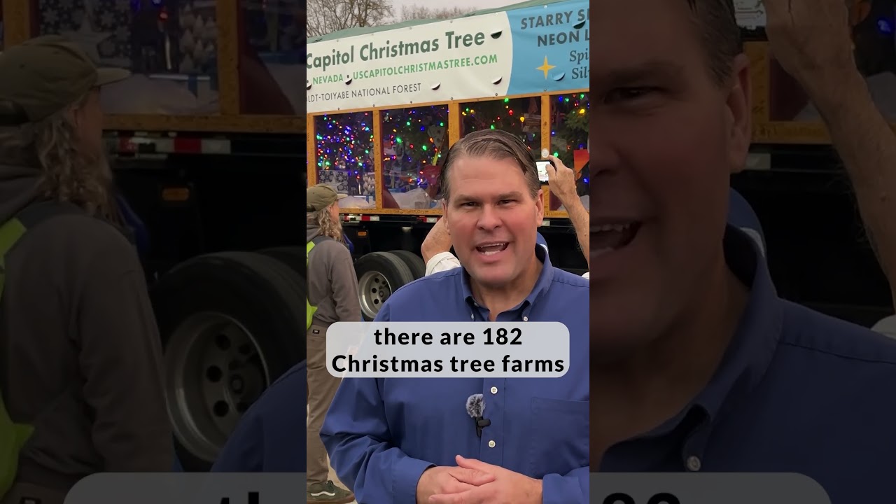 Capitol Christmas Tree Visits KY