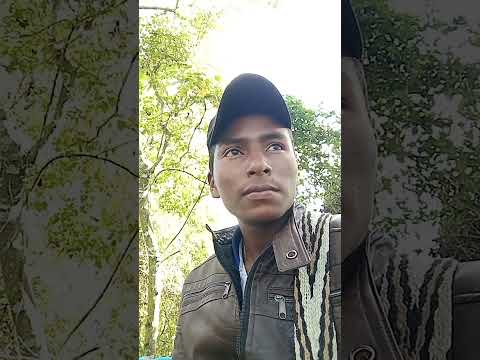 x aqui en las sierras de urumita la guajira