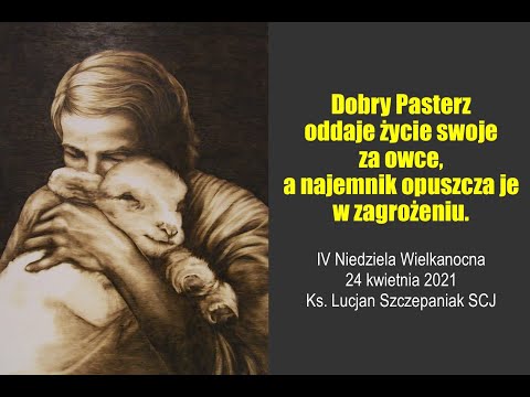 Homilia "Dobry Pasterz oddaje życie swoje za owce, a najemnik opuszcza je" 4 Niedziela Wielkanocna