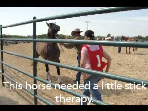 3 Day Clinic April 2011.wmv