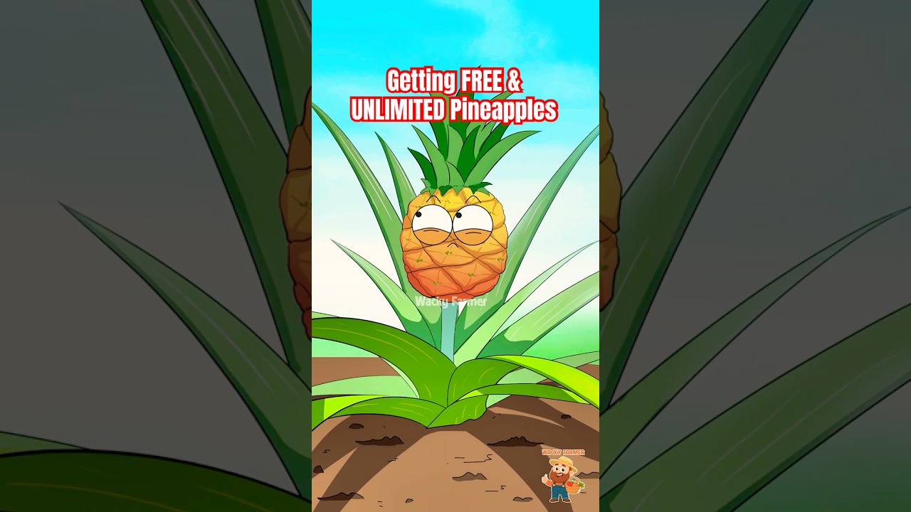 The Secret to Getting FREE, UNLIMITED Pineapples #pineapple #animation