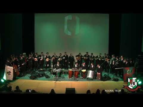 XVI Tudo Isto é Tuna - TEUP