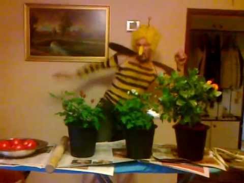 Ktoś mi powie