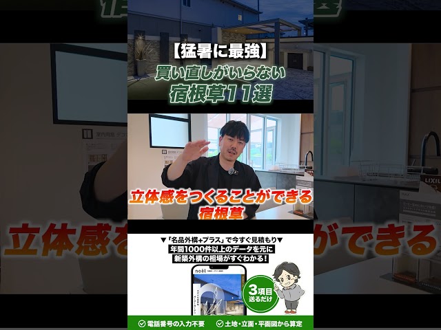 【猛暑に最強】買い直しがいらない宿根草11選！一度植えれば何年も咲き続ける植物をプロが全部教えます【ノエル静岡藤枝・三島店】【外構】【庭づくり】【新築】
