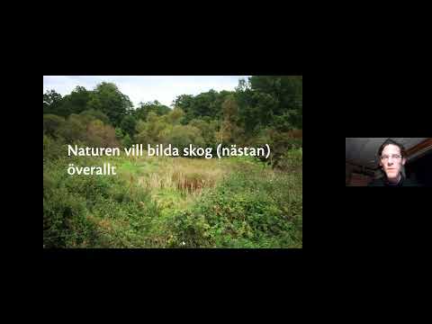 En föreläsning om att anlägga en skogsträdgård och öka mängden egenodlad mat med Philipp Weiss.