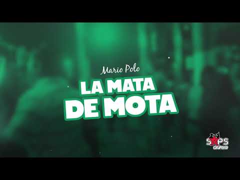 Mario Polo - La Mata De Mota (Video Lyric)
