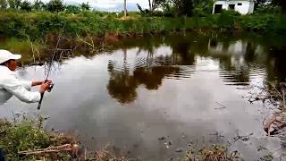 preview picture of video 'Strike ikan nila jumbo di area penampungan air pabrik di wilayah Majalaya Bandung'