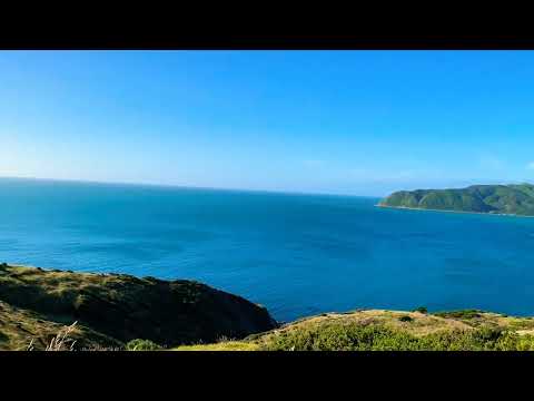 Beautiful NewZealand