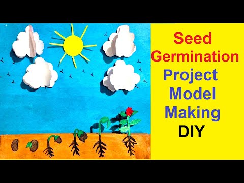 shapes model 3d 2D making using cardboard and paper maths model making idea DIY howtofunda