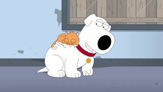 Family Guy - Maybe I was wrong about cats