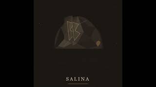 Salina - Tribute Novel Salina