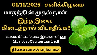 Download lagu Today is Saturday, the first day of the month. If you get this leaf, don't let it go. You will re... mp3