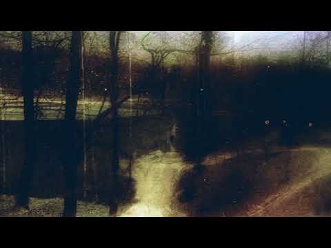 [free] melodic metalcore / post-hardcore type beat - "eden" (wisssery)