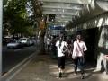 Goin To Taronga Zoo With Zoomates D