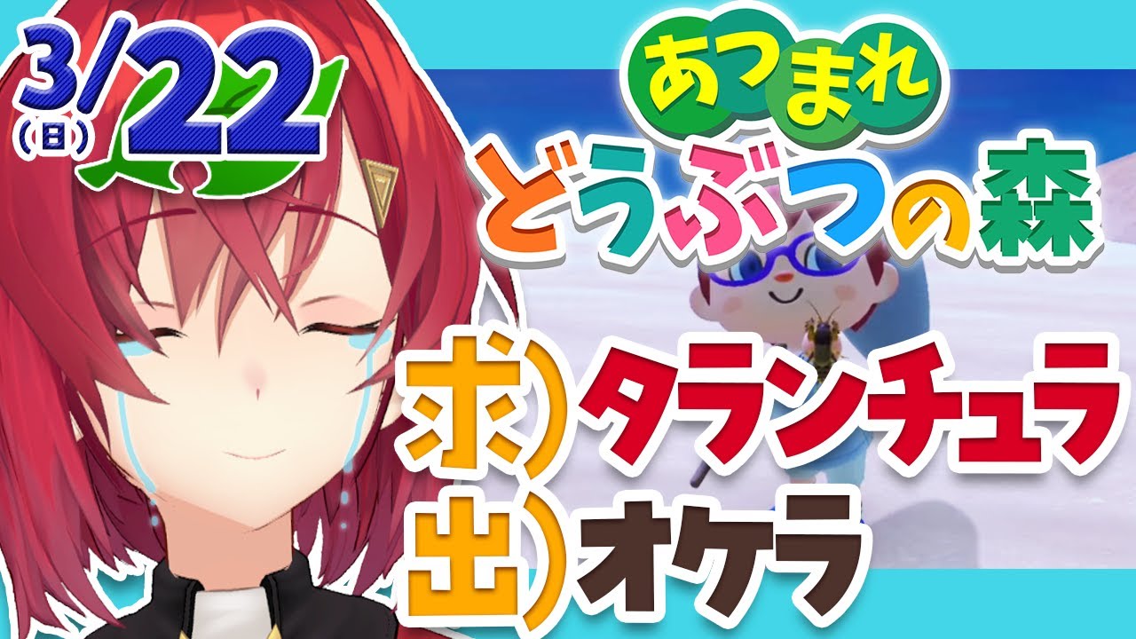 【あつまれどうぶつの森】あつまれ、オケラの森~金がほしい~【にじさんじ/アンジュ・カトリーナ】