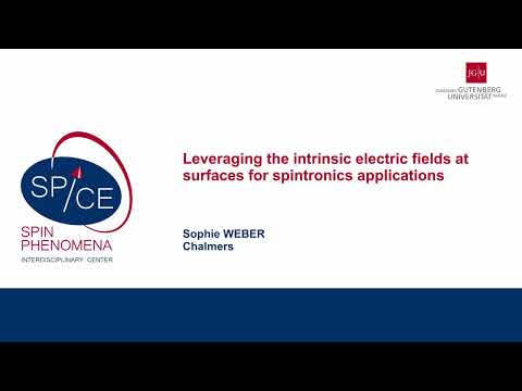 Talks - Young Research Leaders Group Workshop 2025 - Sophie WEBER, Chalmers