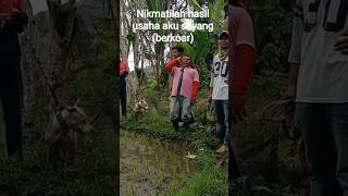 Download lagu boast - Enjoy my efforts darling all for you #fun #unique #funny #laugh mp3