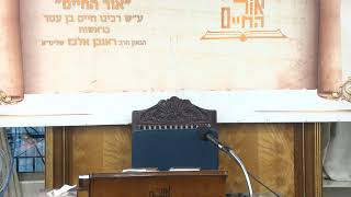 הרב אלבז – שיעור המוסר השבועי – פרשת אמור תשפ"ה (מוסדות אור החיים) - התמונה מוצגת ישירות מתוך אתר האינטרנט יוטיוב. זכויות היוצרים בתמונה שייכות ליוצרה. קישור קרדיט למקור התוכן נמצא בתוך דף הסרטון הרב אלבז – שיעור המוסר השבועי – פרשת אמור תשפ"ה (מוסדות אור החיים) - התמונה מוצגת ישירות מתוך אתר האינטרנט יוטיוב. זכויות היוצרים בתמונה שייכות ליוצרה. קישור קרדיט למקור התוכן נמצא בתוך דף הסרטון