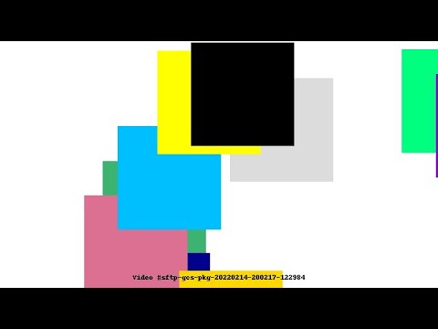 Video #sftp-gcs-pkg-20220214-200217-122984