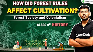 How did Forest Rules Affect Cultivation Class 9 - History Chapter 4 | Forest Society and Colonialism