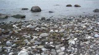 Sveriges sydligaste udde