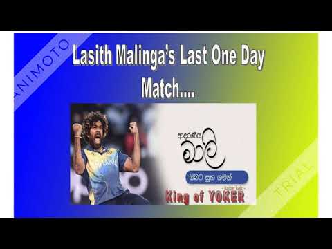 Lasith Malinga 's Last One Day Match..| Thunkattuwa Entertainment