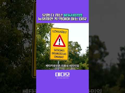 봄동 비빔밥의 비밀?