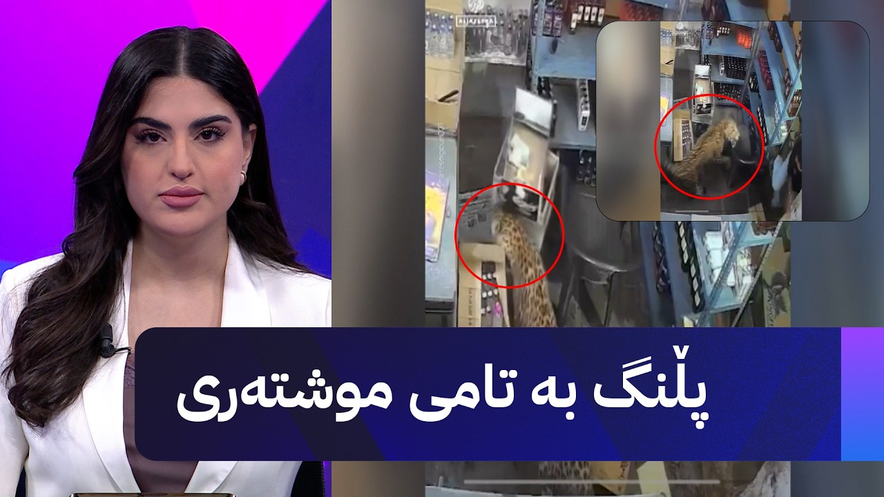 ڤیدیۆ | پڵنگ بە تامی موشتەری
