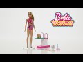 Barbie Dreamhouse Adventures Swim N Dive Doll And Accessories