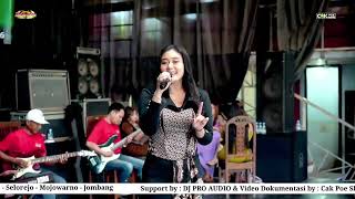 Download lagu HADIRMU BAGAI MIMPI-ADIS ADELLIA-RAISA NADA mp3