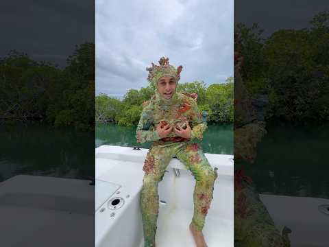 Buying EXTREME Camouflage