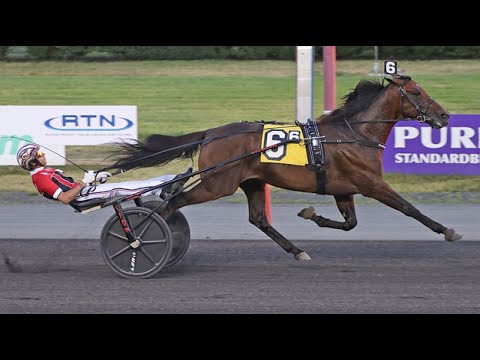 Alrajah One & Dexter Dunn won Crawford Farms Open Trot ($147,000) in 1.50,4 (1.08,9) at Meadowlands