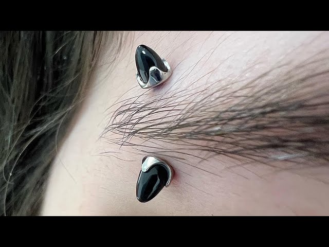 Vídeo relacionado con Yolev Piercing de Ceja y Labio de Acero Quirúrgico 16G 8 Piezas Diafragma Negro Barra Curva Clavo Personalizado 1,2 mm