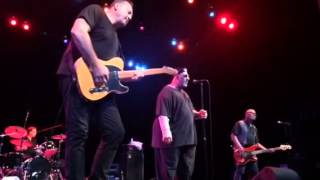 The Smithereens: Room Without a View
