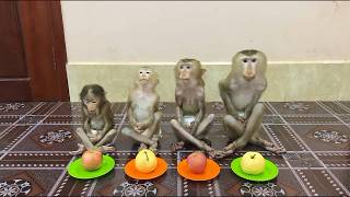 Download lagu 4 Siblings Sit Meditating Very Calmly Waiting Mom To Come & Slice Fruity Dessert For Them To Eat , mp3