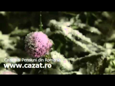 Cazare Deoncesti, Alba - Cazat.ro