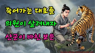 Download lagu 설악산 의원이 죽어가는 대호를 살려주자 산군이 보답으로 가져온 놀라운 기적 |야담 |옛날이야기 |민담 |전설 | 설화 mp3