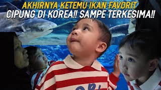 Download lagu HARI TERAKHIR DI KOREA CIPUNG BLUSUKAN DUNIA LAUT DEMI KETEMU IKAN PAUS!! NCUS RINI SAMPE NGAKAK!! mp3