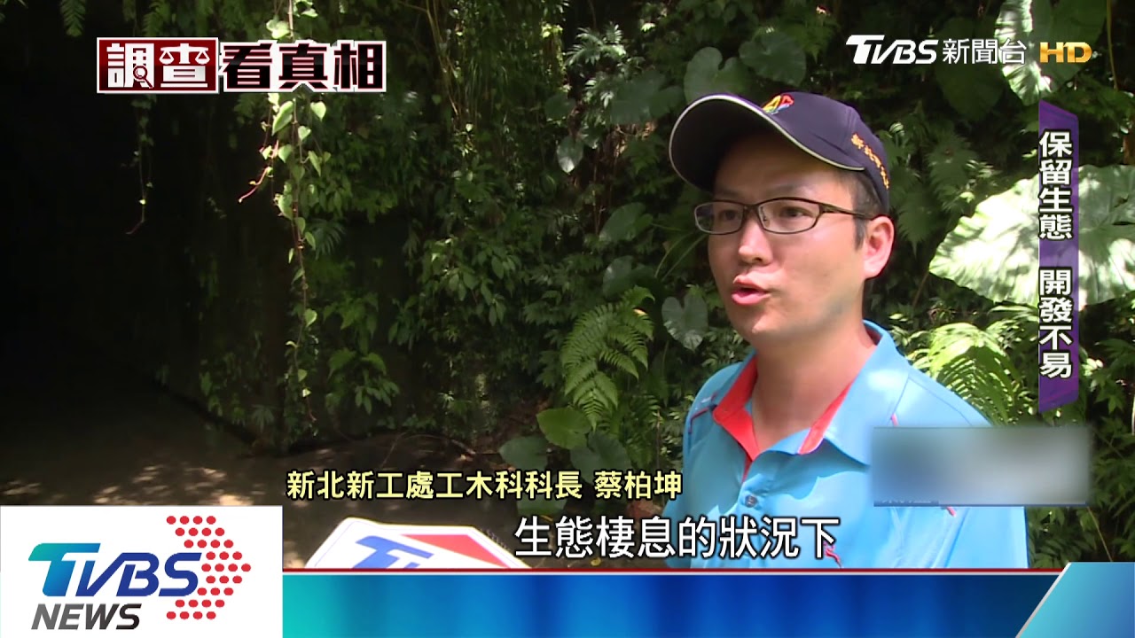 塵封35年!舊三貂嶺隧道 重啟轉型步道