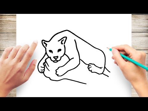 How to Draw a Jaguar Step by Step for Kids - YouTube