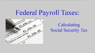 Payroll Tax:  Social Security Taxes