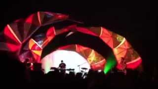 Wide eyed live : animal collective