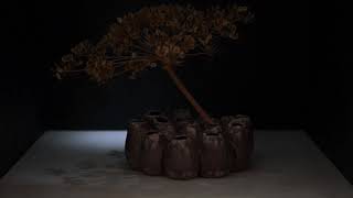 Transistor VincentvanOss Kraftwerk 2018