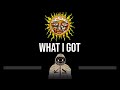 Sublime • What I Got (CC) (Upgraded Video) 🎤 [Karaoke] [Instrumental Lyrics]