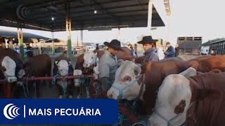 Miniatura do vídeo
