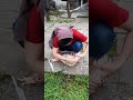 Woman Slaughter Chickens VIDEO 3